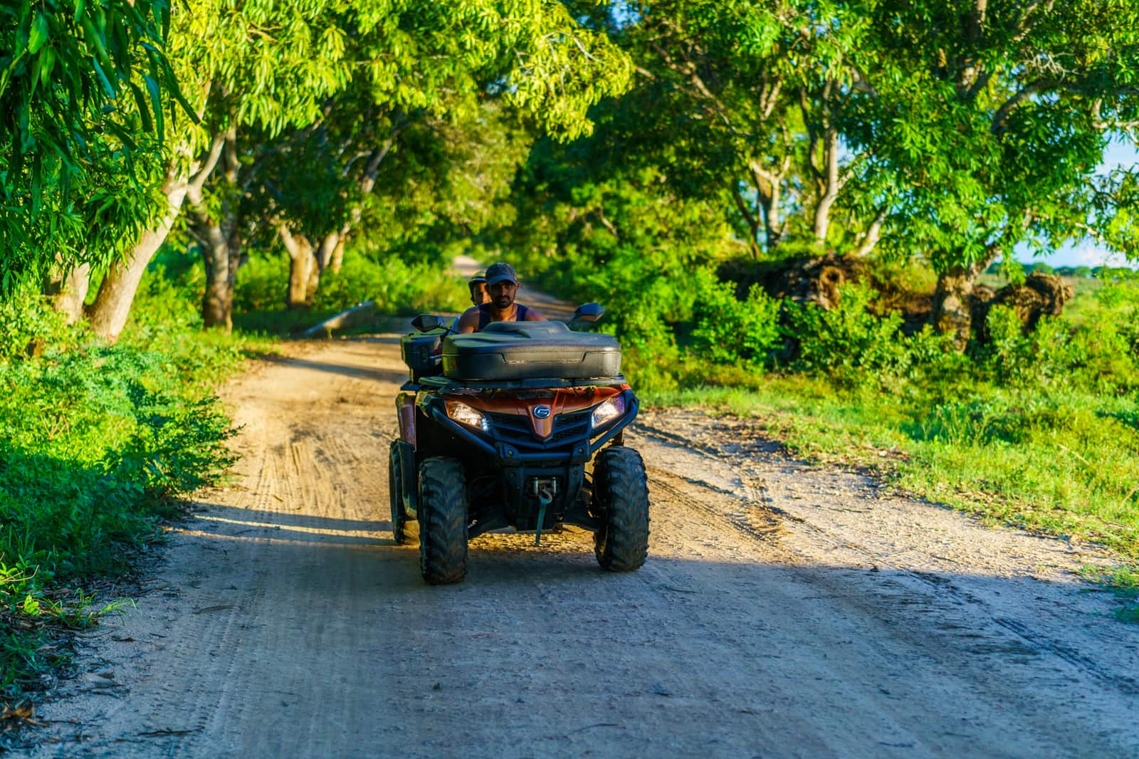 ATV riders travelling down a green tree-lined trail