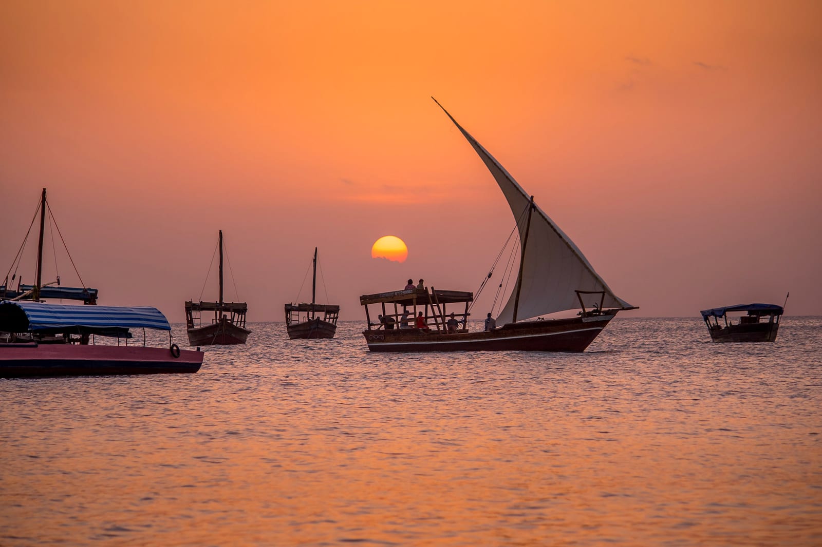 Traditional dhow sailing boat cruising at sunset off Zanzibar